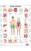 Larsen lietuviška dėlionė (puzzle) Žmogaus kūno dalys Maxi
